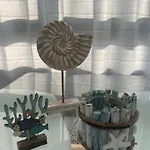 Coral De *